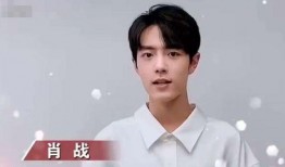 真实爆料肖战视频,真实事件引发网友热议